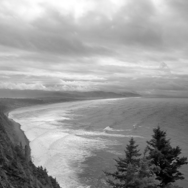Oregon Coast Road 2
