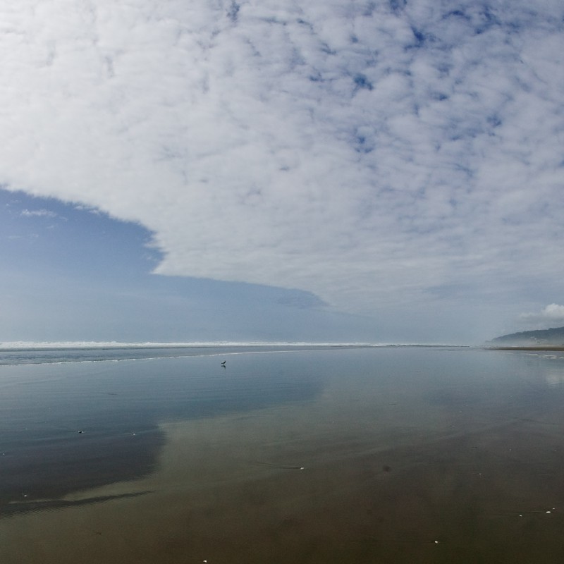 Oregon Beach 6