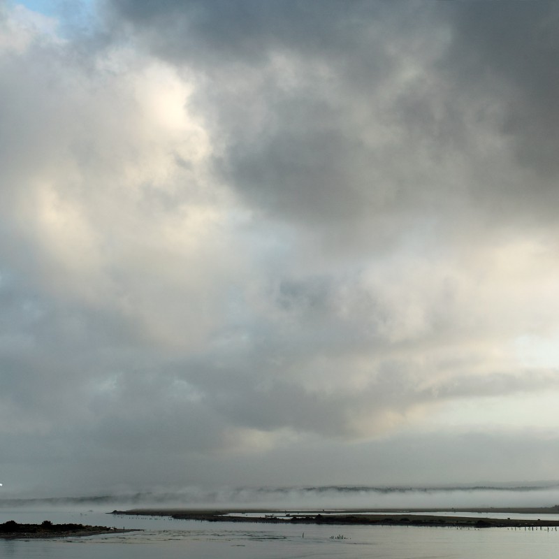 Morning mist 2