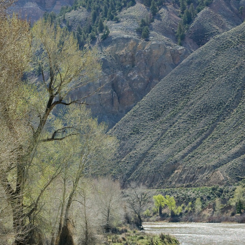 Colorado River 1