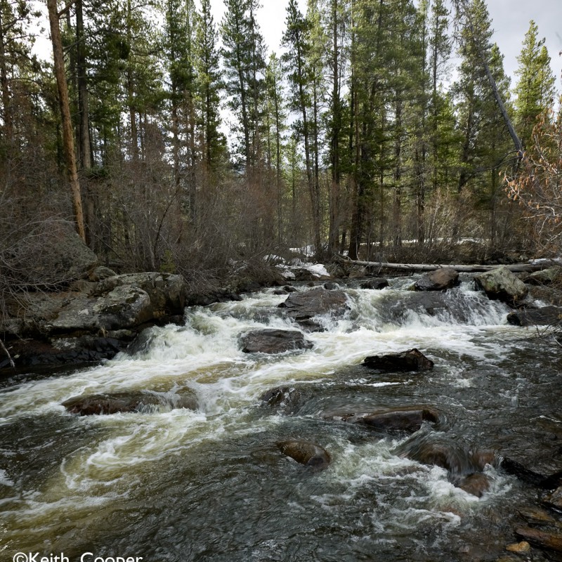 Mountain stream 3