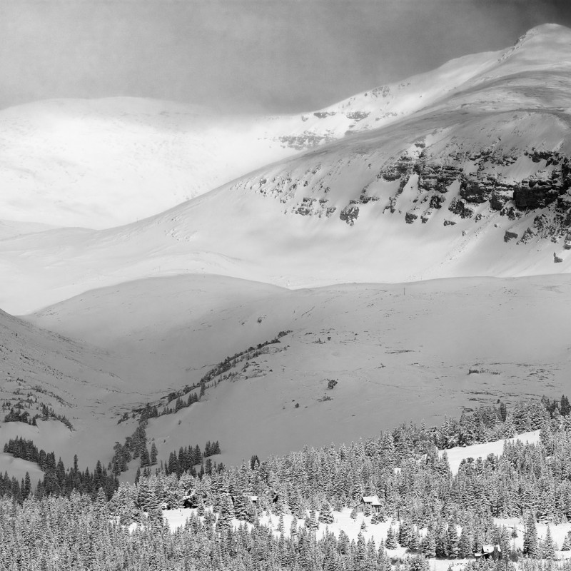 Spring Snow 6
