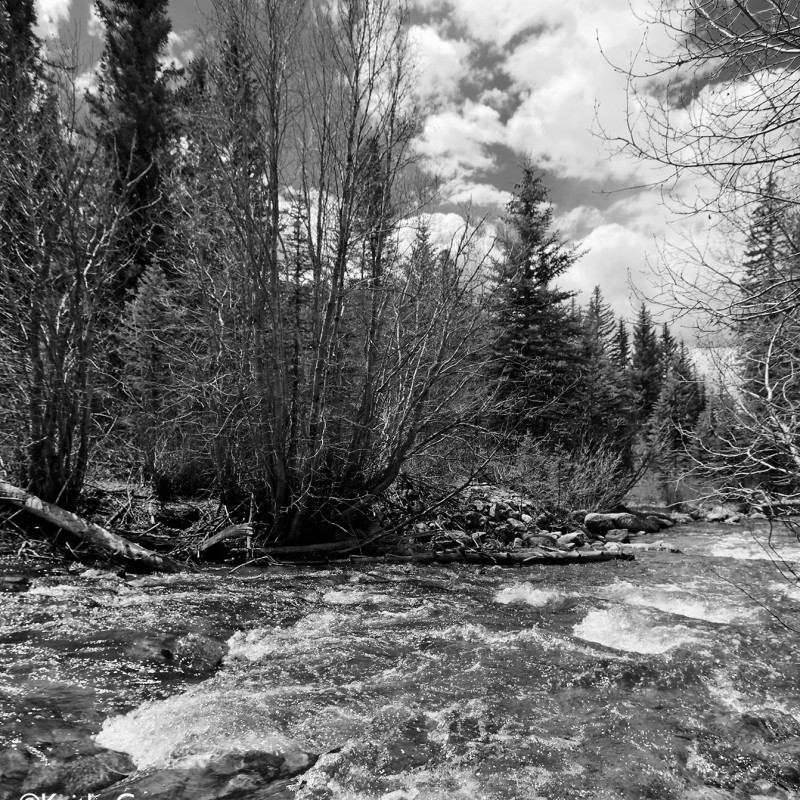 Mountain stream 8