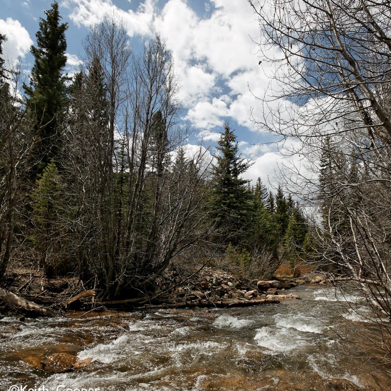 Mountain stream 9