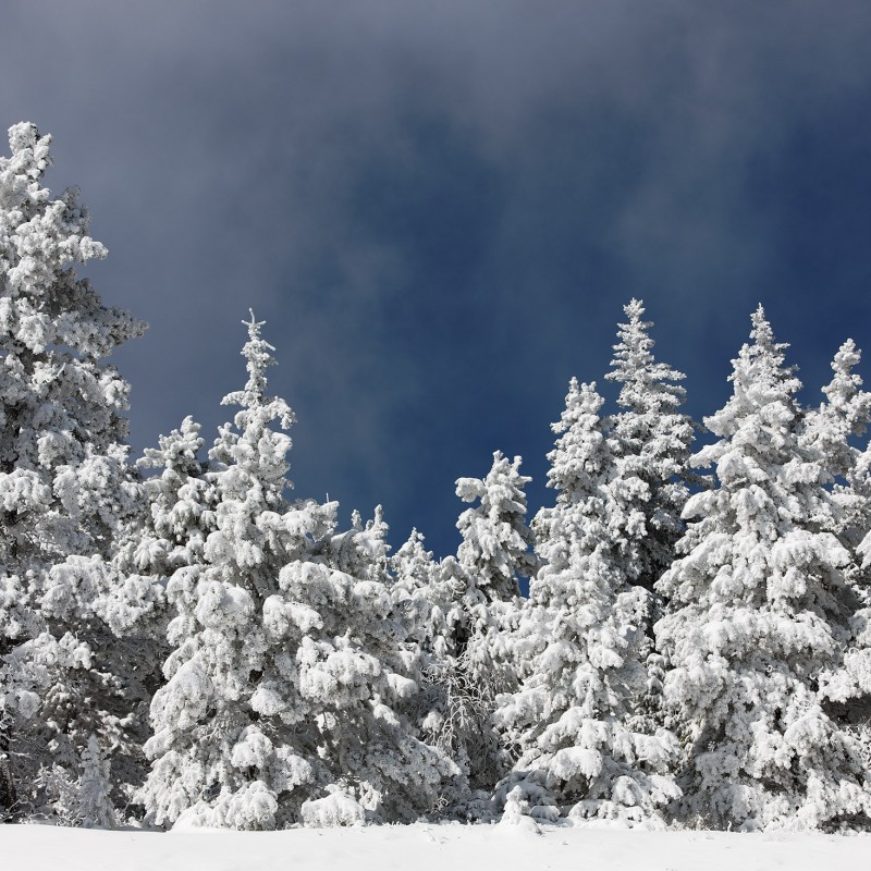 Fresh snow in the Rockies