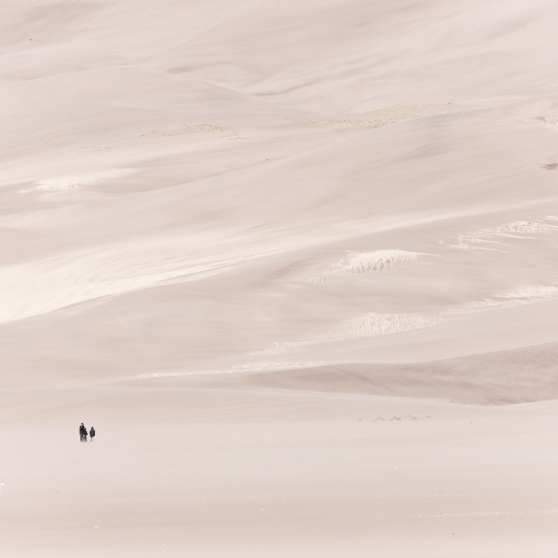 Windy day in the Dunes