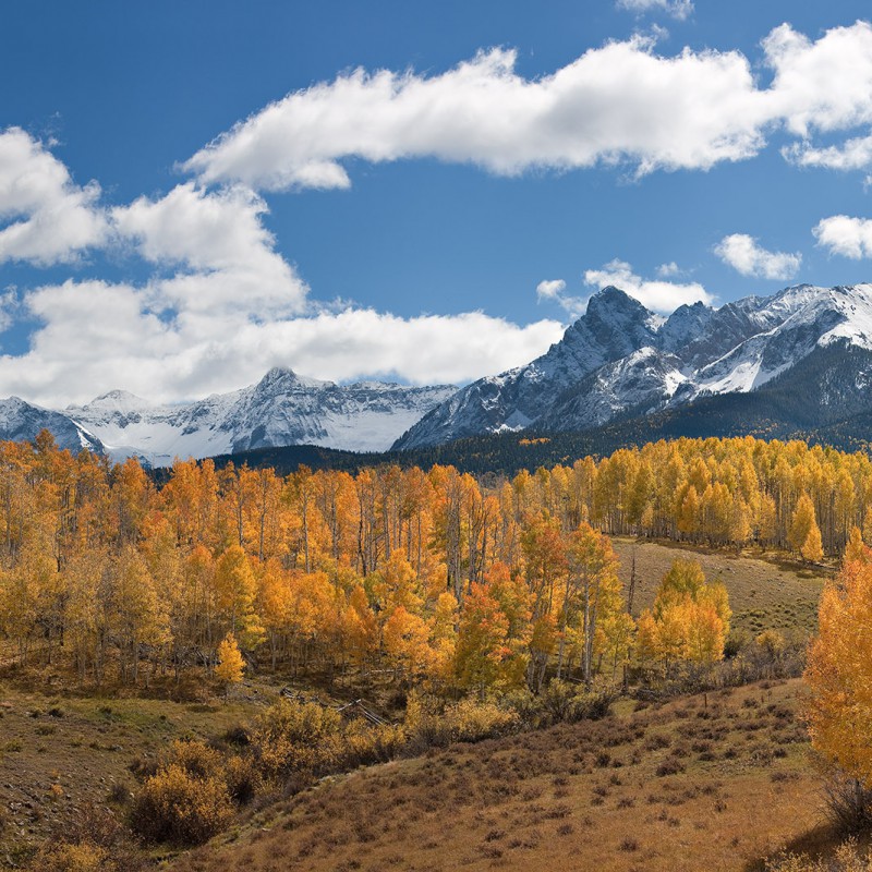 Sneffels in the Fall 1