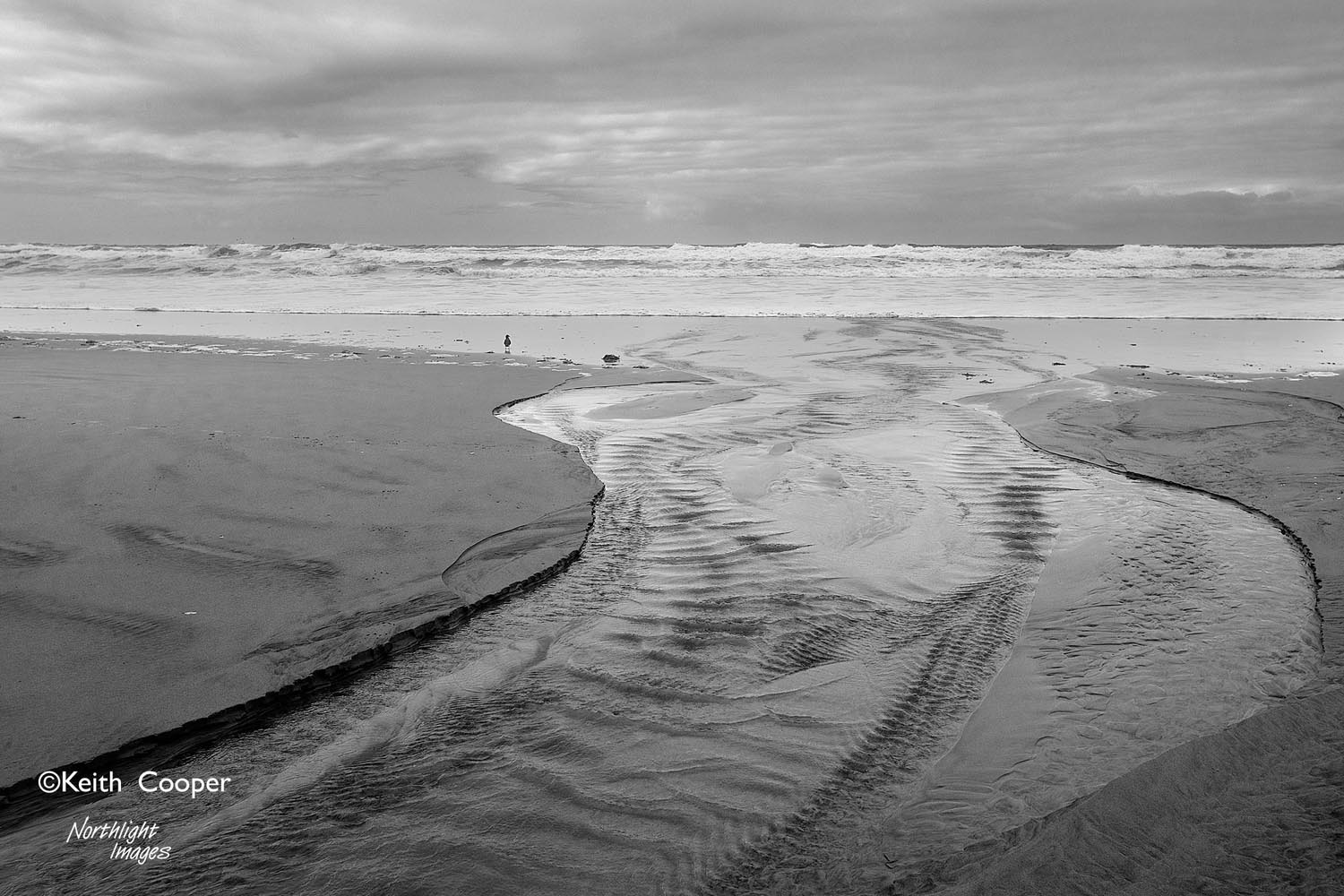 Oregon Beach 2