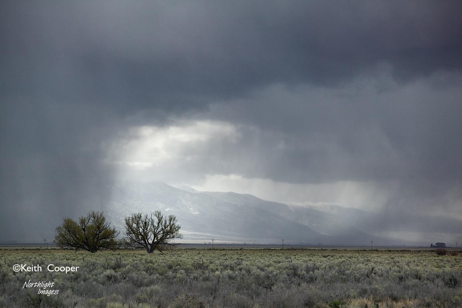 Storm front