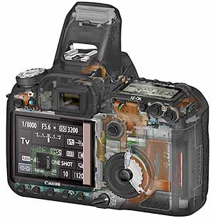 50d cutaway 50d cutaway