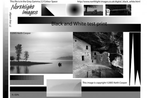 A Black and White test image