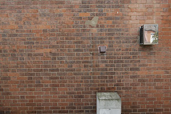 Hover Image
