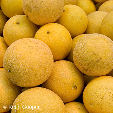 melons