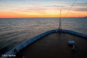 Photo business working as a cruise photographer