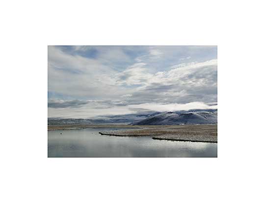 Original Image