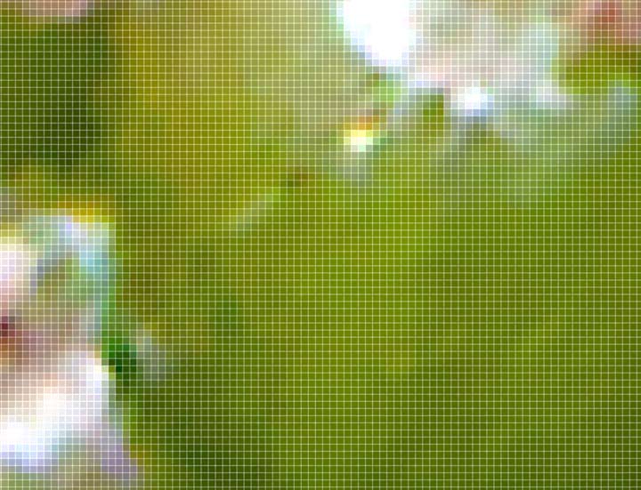 Hover Image