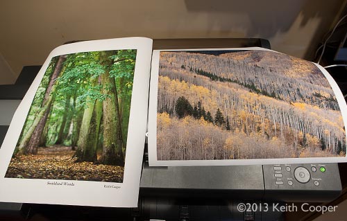 test prints test prints