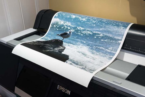 Innova Gloss Polycotton Canvas review IFA 56