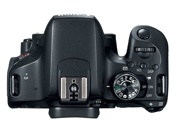 800D top view