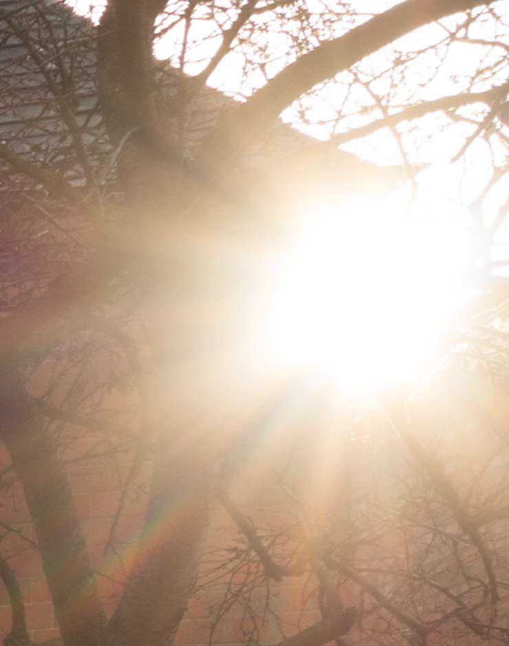 sunburst