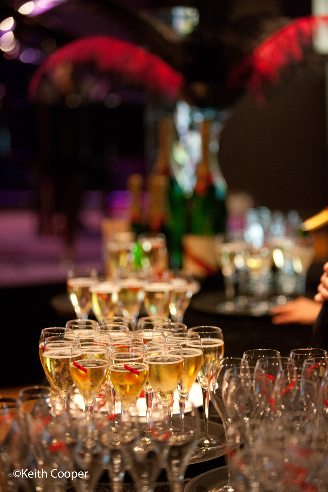 Champagne glasses