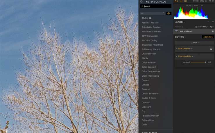 polarising filter