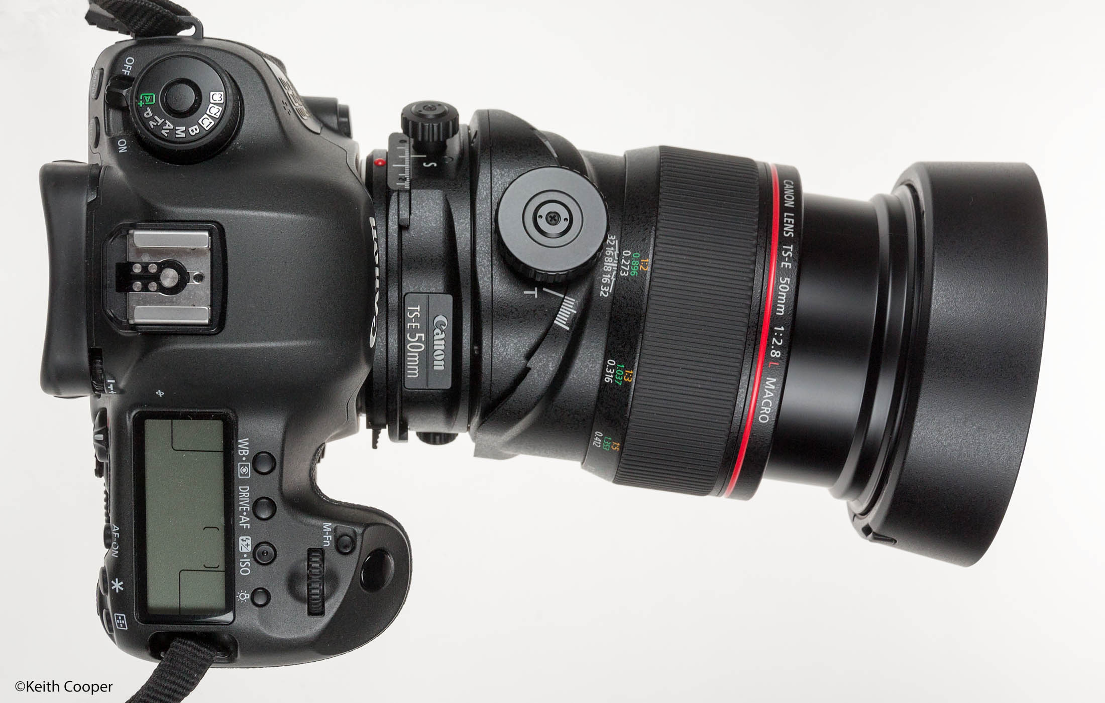 TS-E 50mm on 5Ds