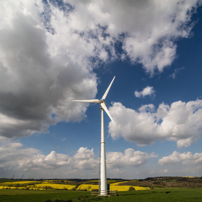 Field and wind turbine