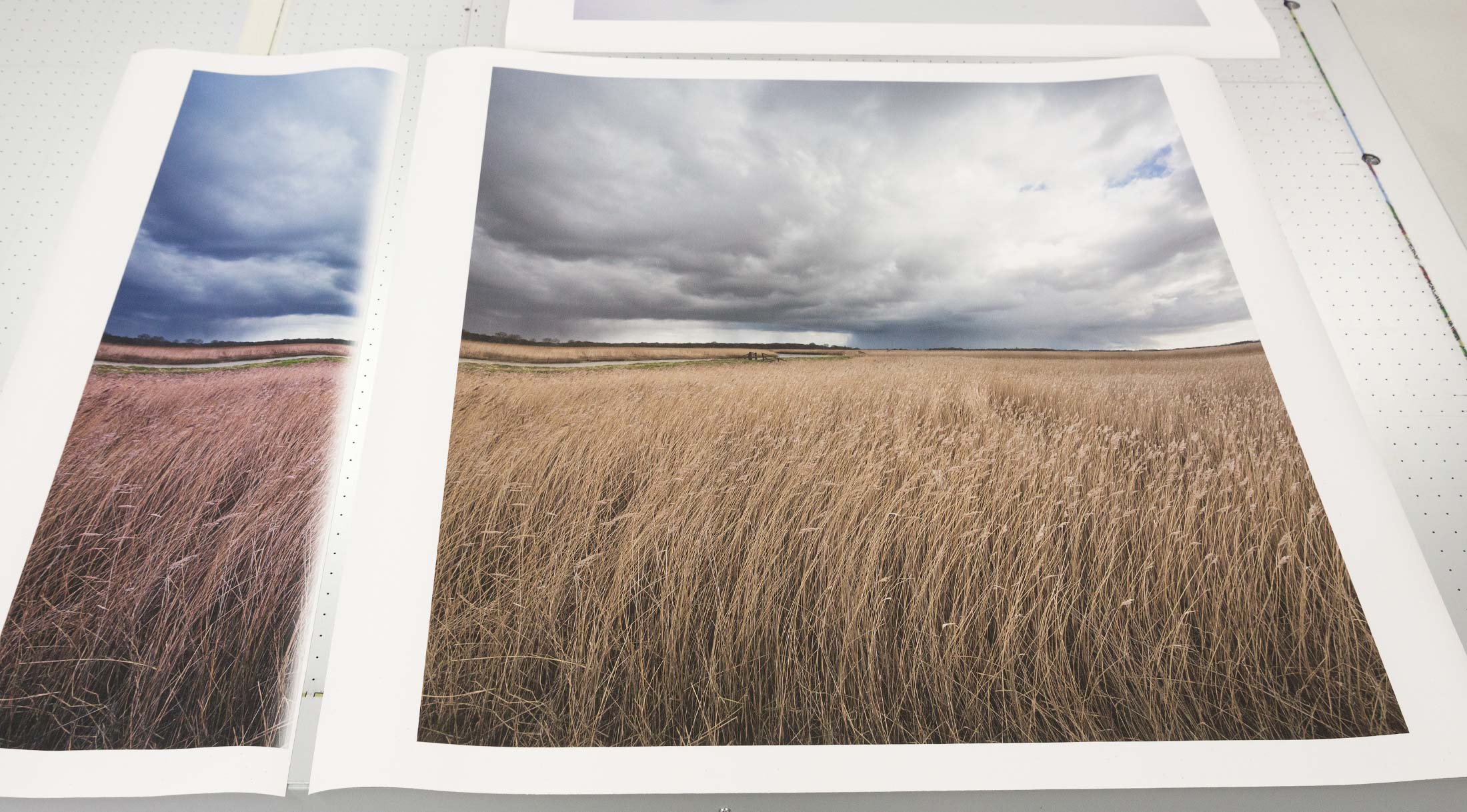 Snape marshes