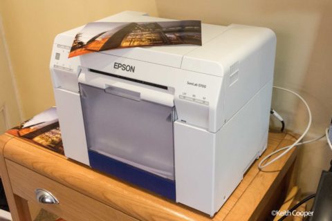 Epson SureLab SL-D700 review