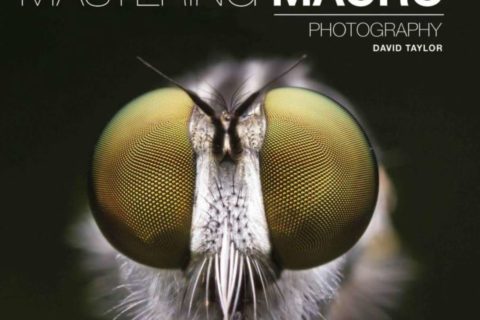 Book Review: Mastering Macro Photography