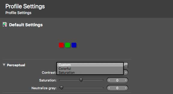 profile-perceptual-rendering-options
