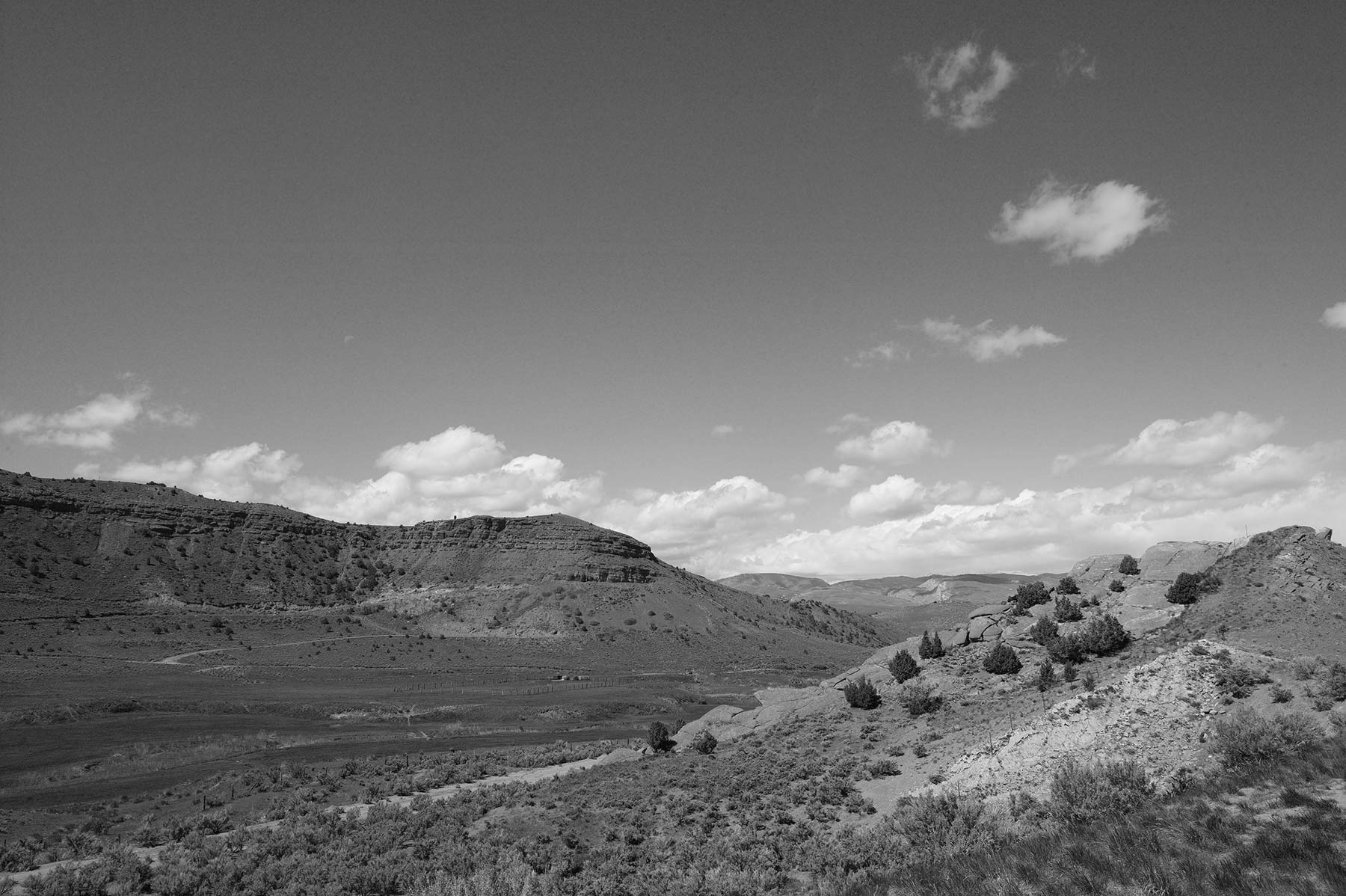 default-BW