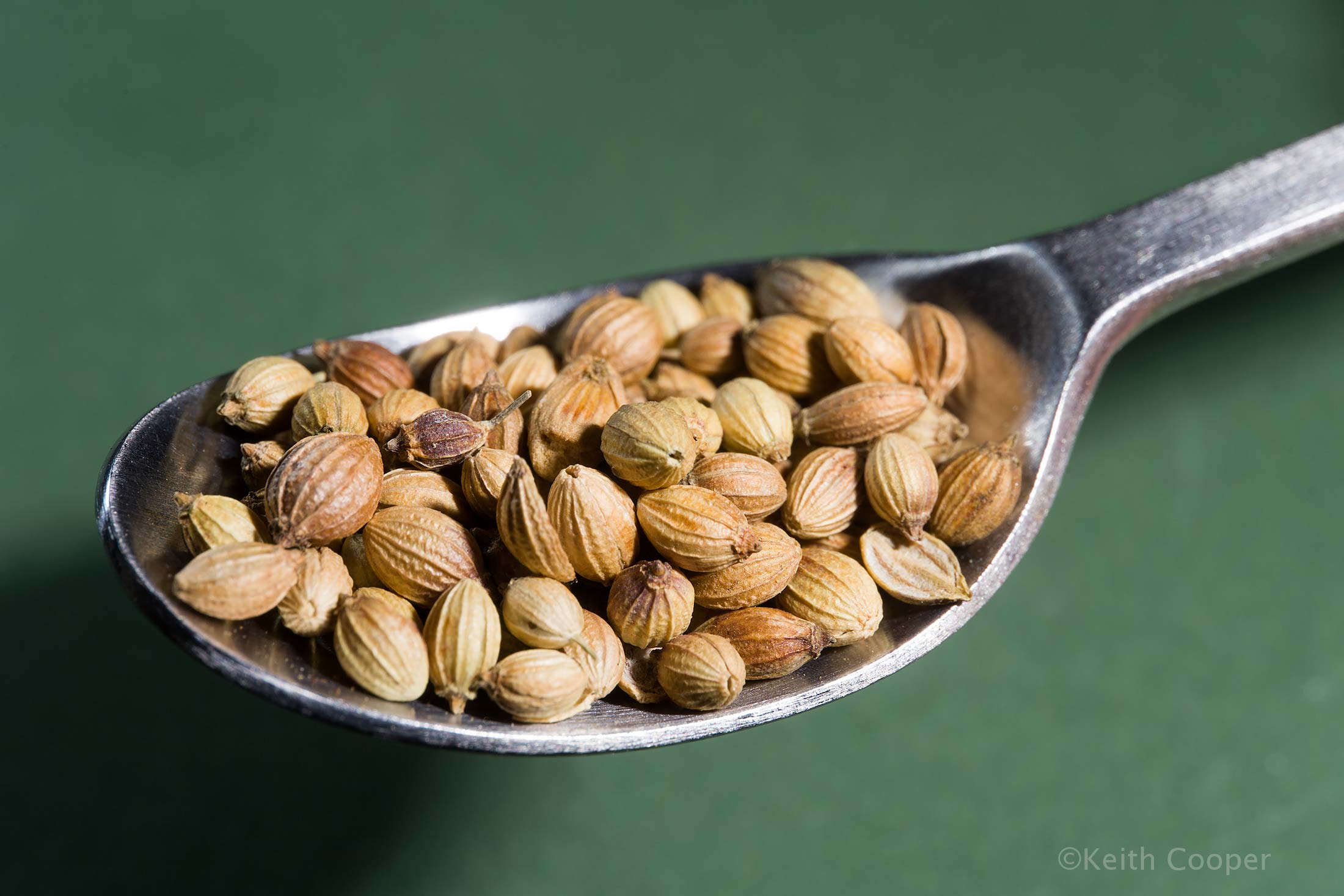 coriander-seeds