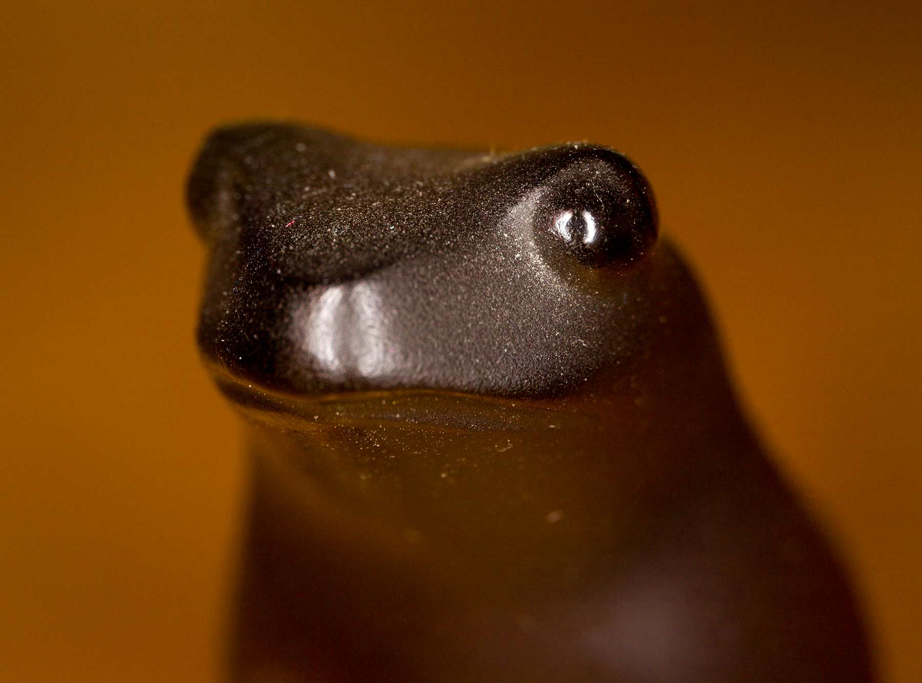 frog-2