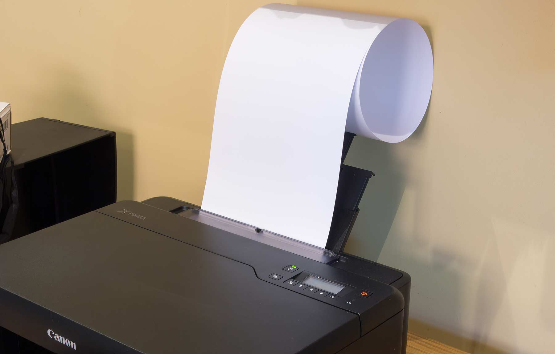roll-paper-support