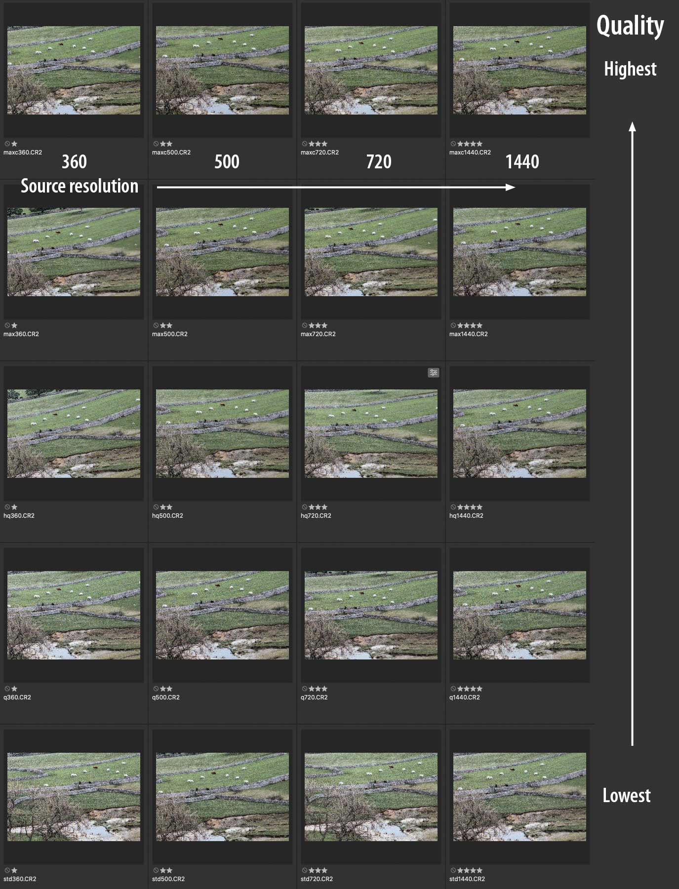 all 20 photos of prints showing driver settings and print detail