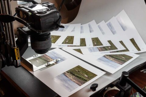 Best Epson P700/900 driver settings and print detail