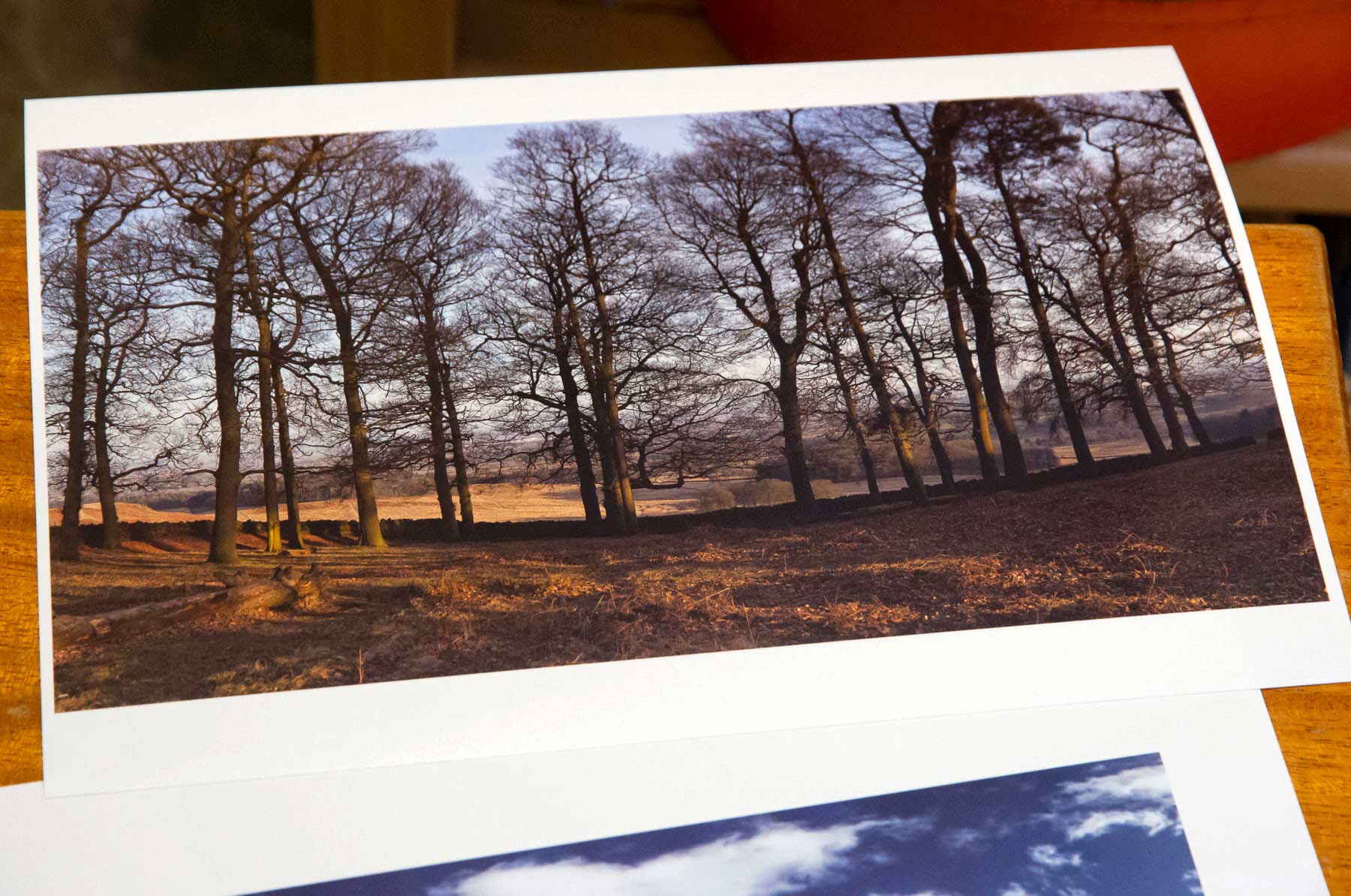 dark-tones-in-print