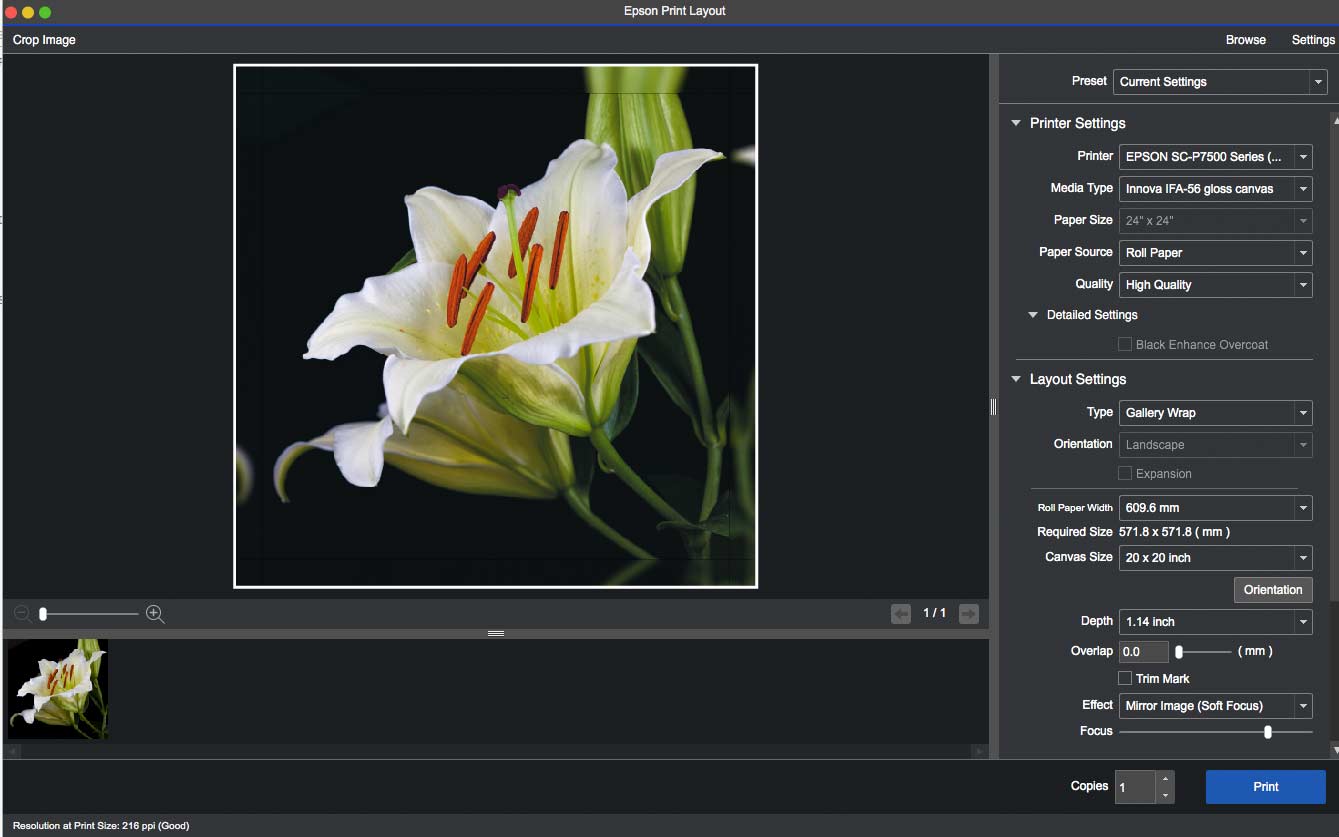 gallery-wrap
