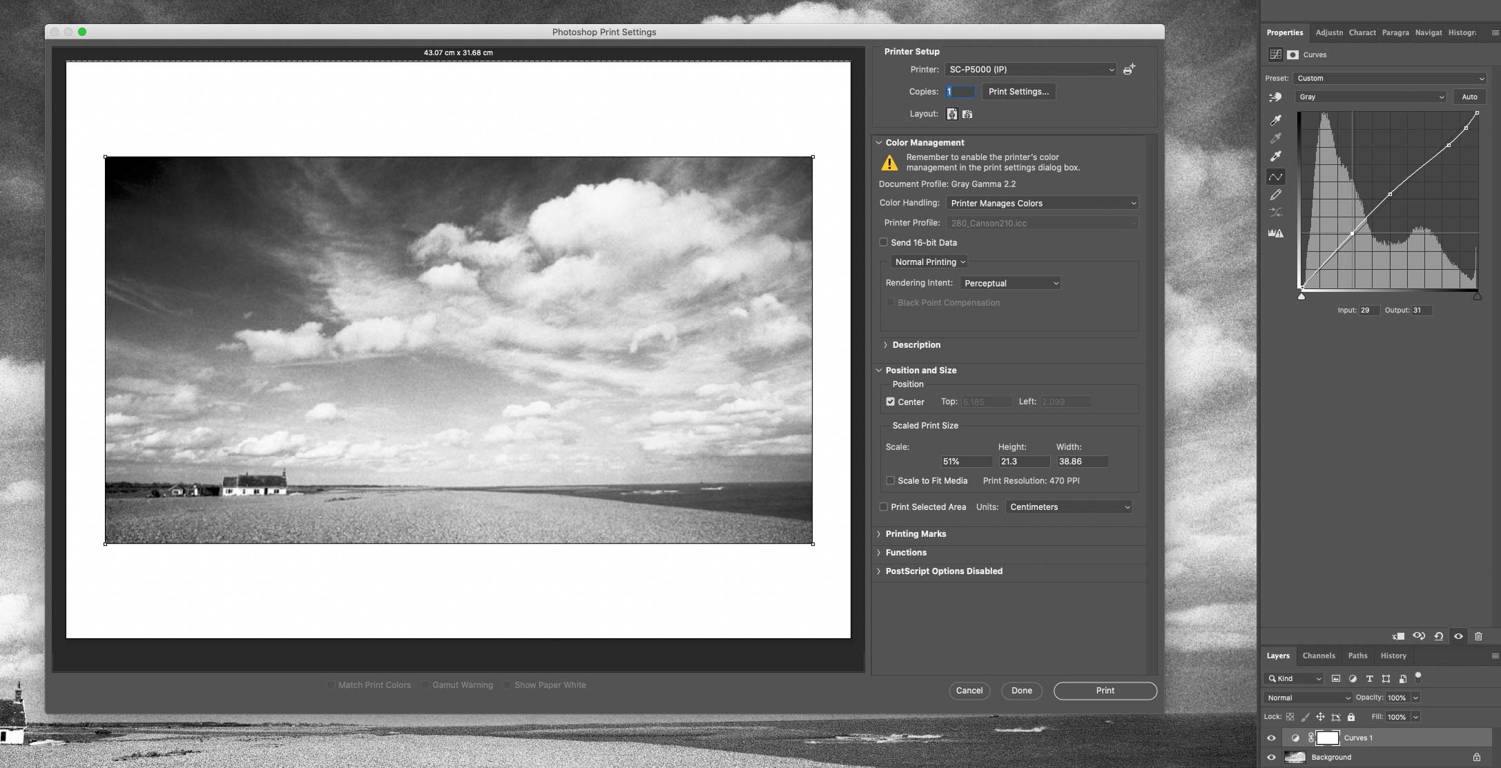 bw-printing-with-curve-178