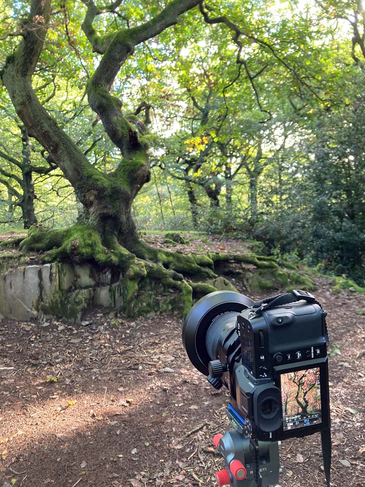 TS 30 lens testing tree setup